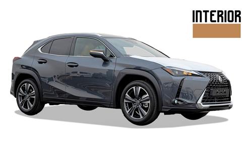 (LHD) LEXUS UX 250 2.0P HEV AT FWD MY-2023 GREY