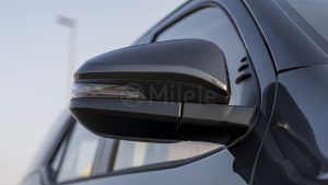 LFORTUNER2.7P 25 Grey Chamois 26 13 Copy