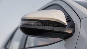 LFORTUNER2.7P 25 White Chamois 26 2 Copy