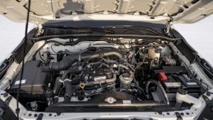 LFORTUNER2.7P 25 White Chamois 26 3 Copy